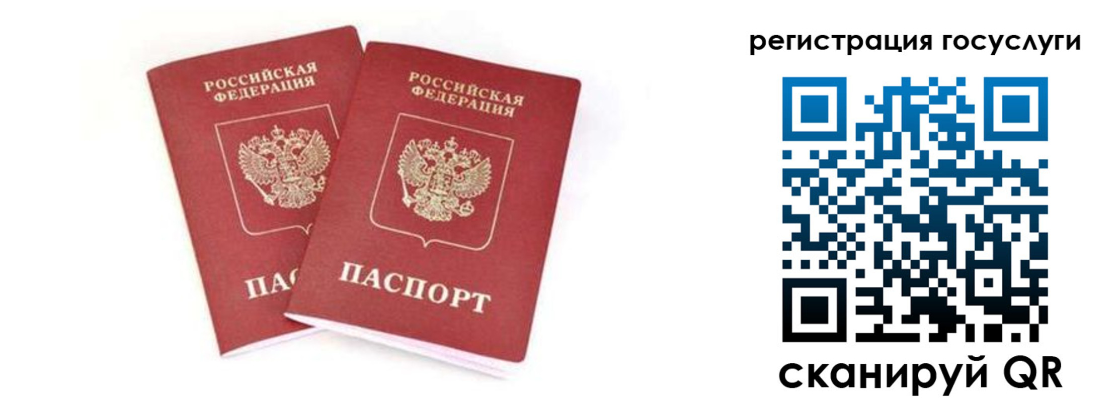 прописка в квартире в Клинцах